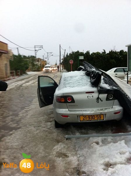 iceman lud 1213 (11).jpg